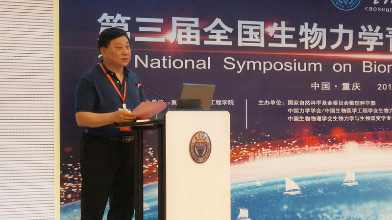 图片4(重庆大学杨力教授致辞).jpg 图片4(重庆大学杨力教授致辞).jpg